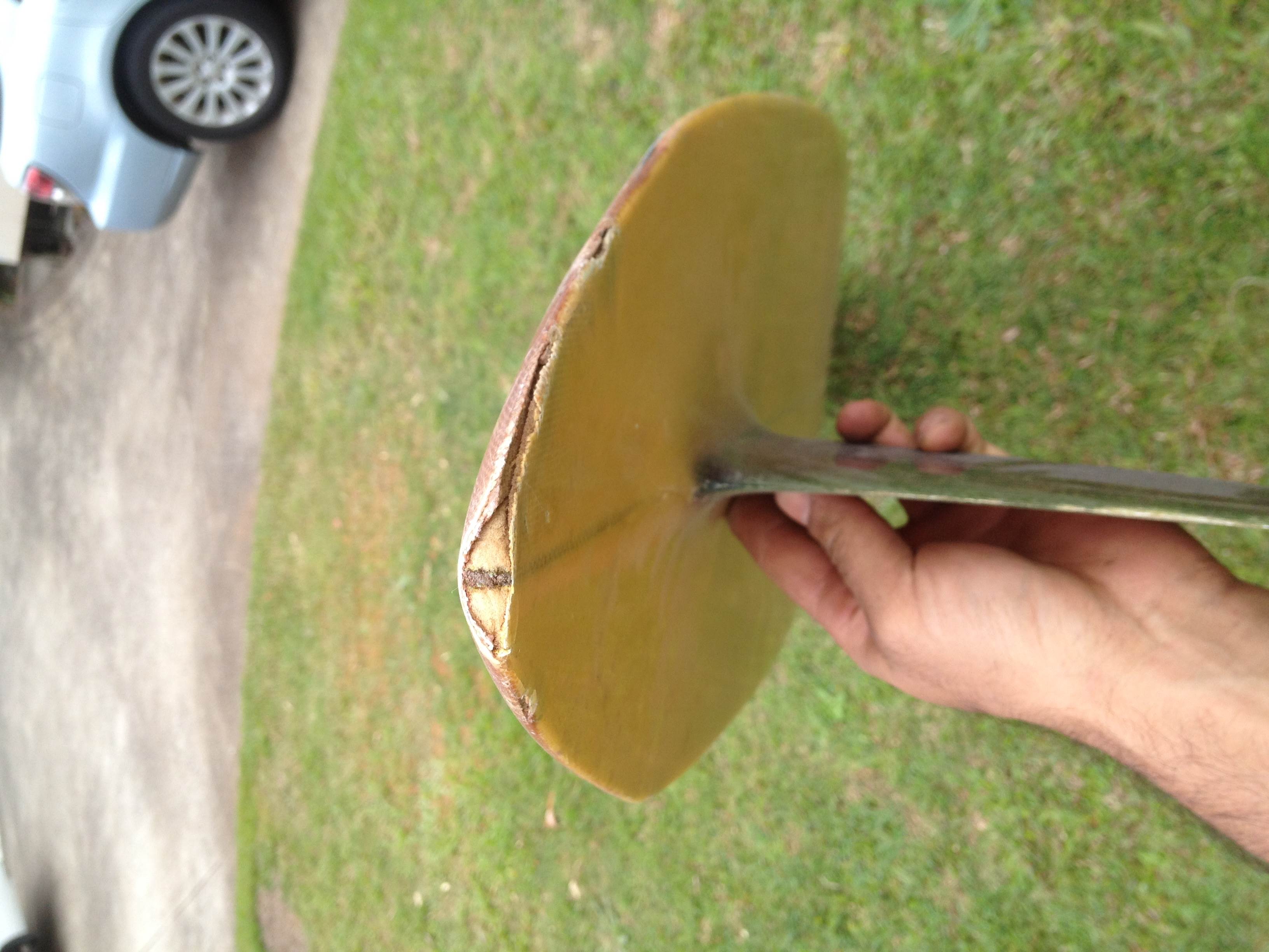 shaped by cole smith