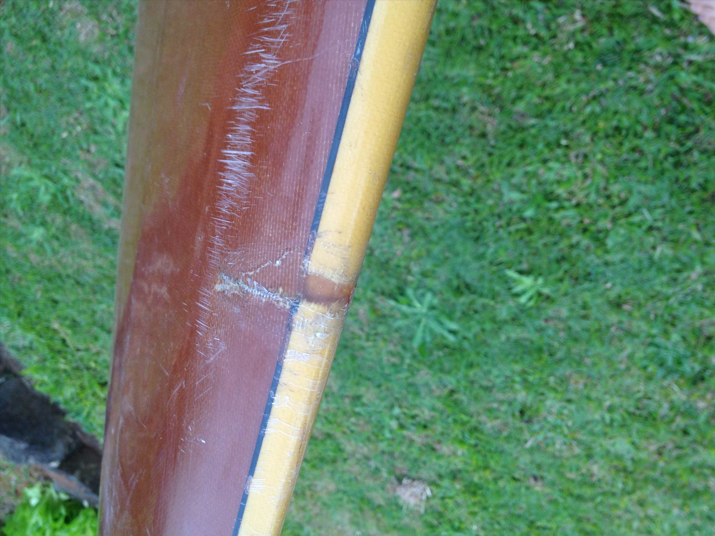 shaped by cole smith