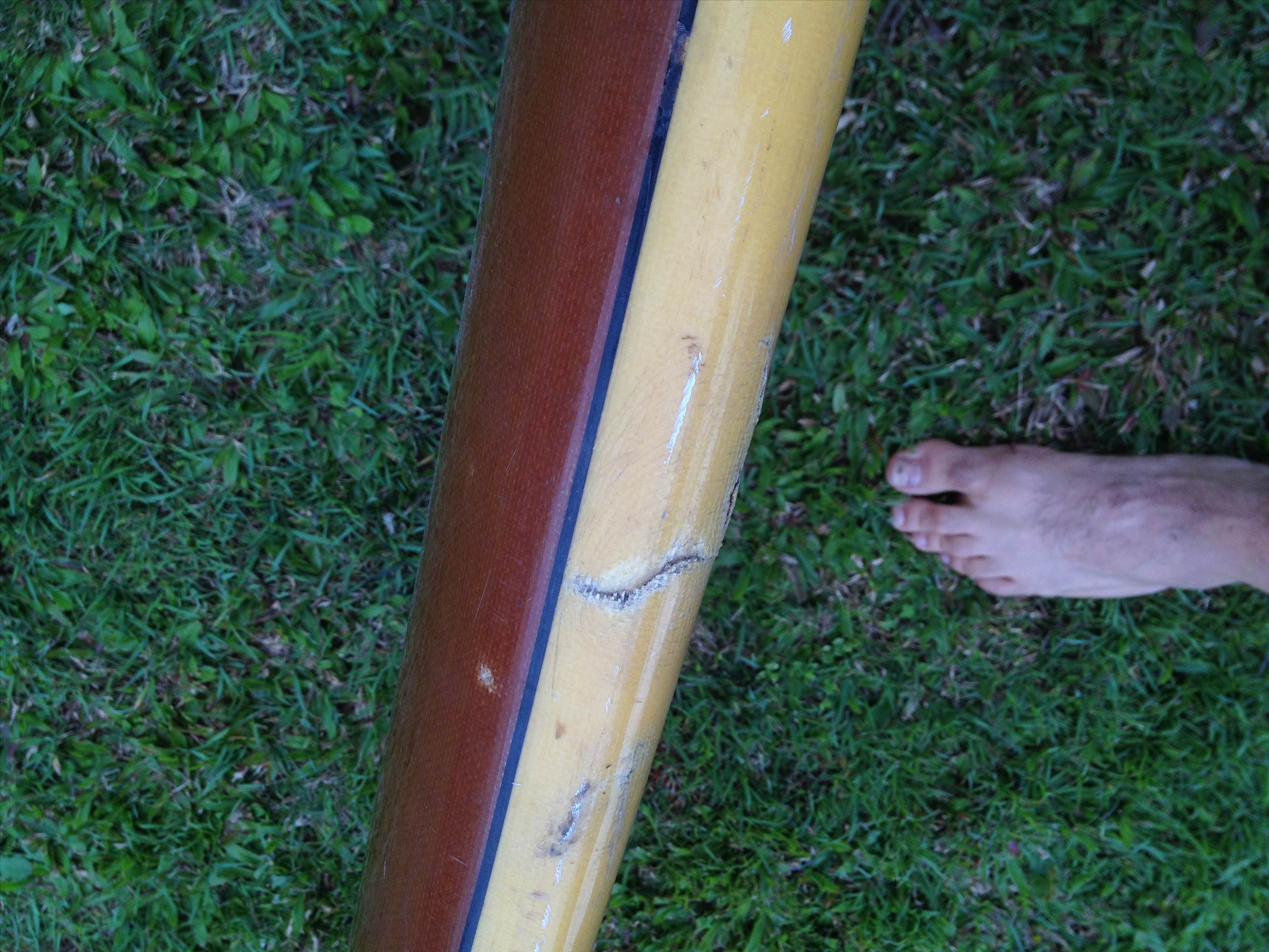 shaped by cole smith