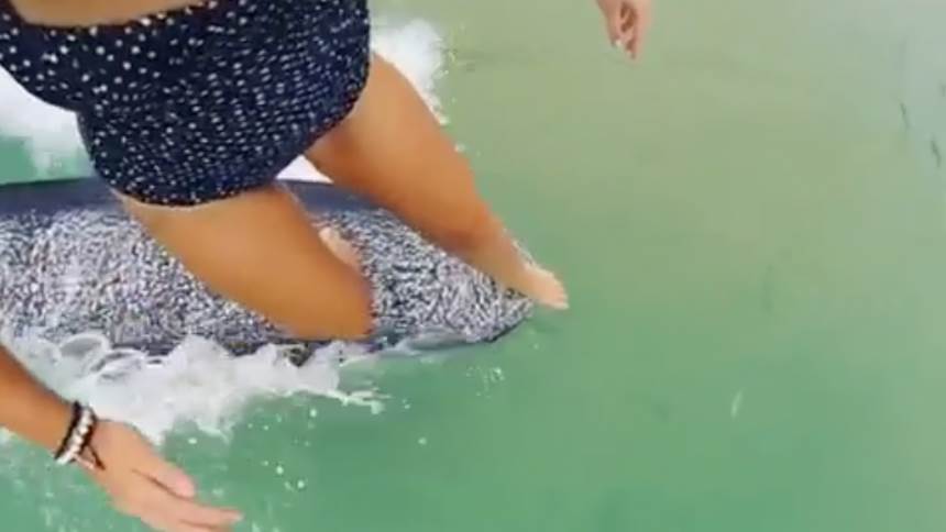 Screen-Shot-2015-03-31-at-2.18.21-pm-m71lesnfgnn17xafvwmp4xaww57ow01jom1ioalwiw