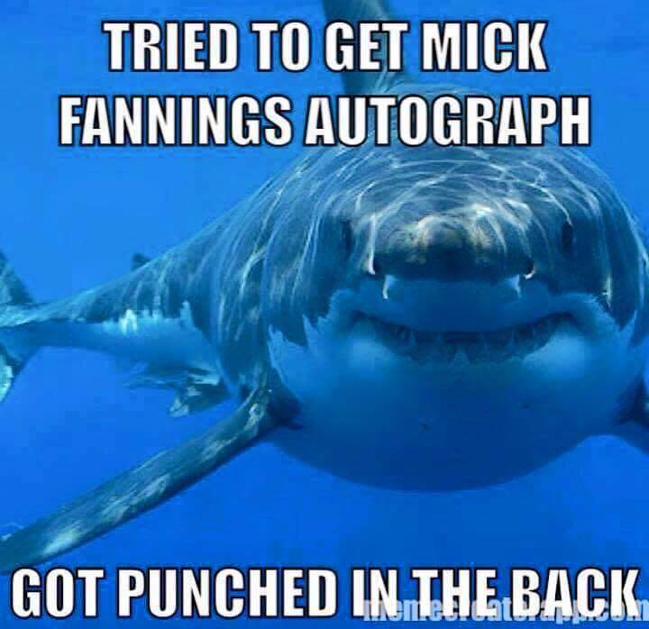 11059885 970319113020513 2651979452153243965 n