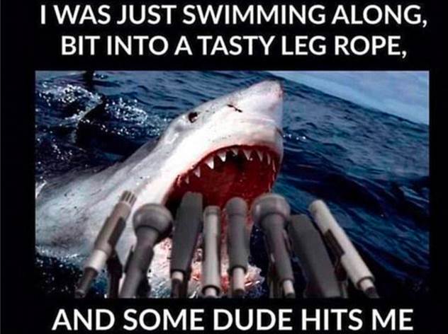 11263922 914289711943124 7537844596300607272 n