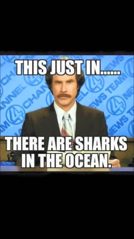 10407792 10155850343335634 6079766126408065534 n