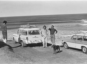 bellscarparkcarsanddog