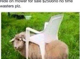 ride on mower