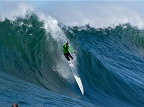 as surf mavs wipeout 576