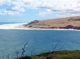 saw this on holiday in NZ