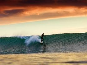 ca6638dc4d54aa3fc365b972dab56125