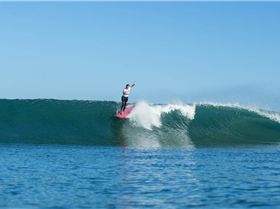 a3f7c50c8ed3c81fa4a371280853383f