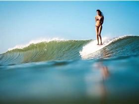 Screen Shot 2015-12-01 at 9.22.22 PM