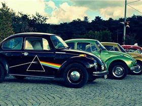 12341361 1078541718852923 7659100637656823124 n