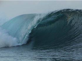 Screen Shot 2015-12-13 at 10.01.37 am