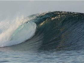 Screen Shot 2015-12-13 at 10.01.55 am