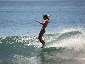 Team-Page-Banner Hono-1260x700