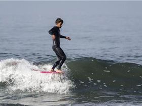 nimbus-msa-classic-baldini