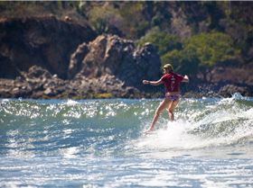 Mary in the jungle copy