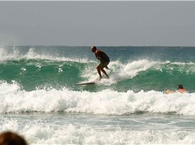 12418782 10208074842207141 4205079799758385923 o