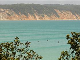 12469623 10208074684843207 623415709828607666 o