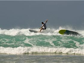 12471676 10208074894448447 1908329777407257272 o