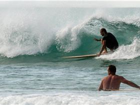 12487061 10208074848887308 2924906167876324989 o