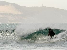 12487061 10208074859967585 8952264965966891518 o