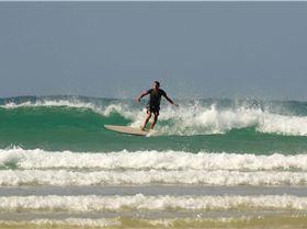 12491833 10208074905368720 2141844117524817671 o