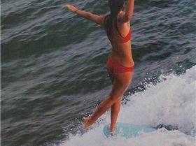 12106128 950651715029636 617163236 n