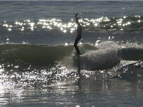 2.SURFER-SanO copy 2