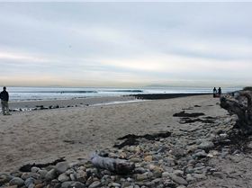 8418060881 ed2328e58e c