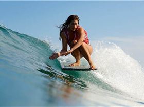 12744719 1058358510851908 3059032229200292679 n