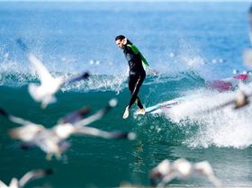 12814630 1069079479779811 7863026538803536964 n