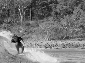 1930498 1029196900434736 4613953715089487670 n