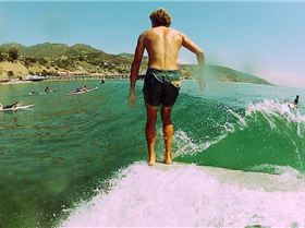 16896 904152819605812 2050787973900726654 n