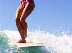 11235334 925885687432525 230912258588319737 n