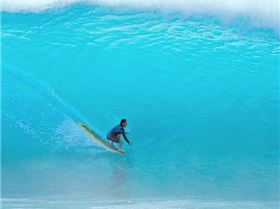 12002740 981356505218776 6954306331194477340 n