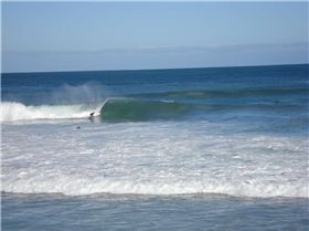 dont think the cult would handel it