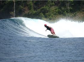 Screen Shot 2016-04-14 at 7.47.11 pm