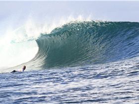 Screen Shot 2016-04-14 at 8.16.04 pm