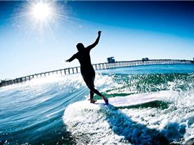 11412266 937055986315495 8467444083860736124 n