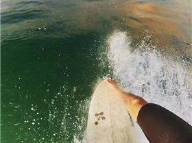 11038076 943792412308519 1500443331956185003 n