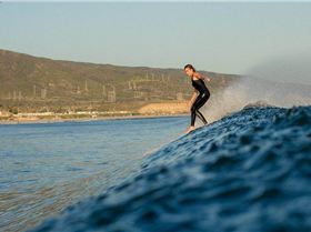 10428082 867995143221580 9083996588912479879 n