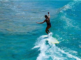 13055474 1100883593266066 8344988698767079234 n