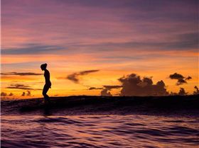 12994329 1096672293687196 7276390699337053177 n