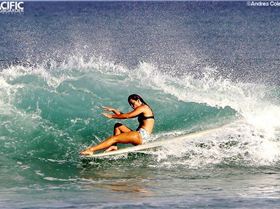 12063355 977471982299024 7768549782460634813 n