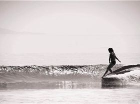 10451009 805847012769727 6903024467068414997 n