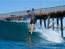 12347828 1021408631213563 6350646105893258833 n