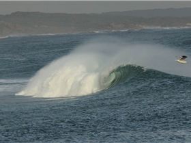 Screen Shot 2016-05-21 at 3.17.36 pm