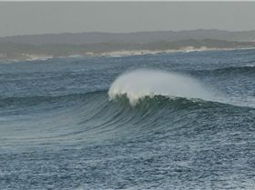 Screen Shot 2016-05-21 at 3.19.53 pm