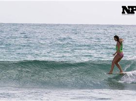 12821338 1068007876553638 3887853798661279336 n