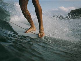 11224566 1037623129592113 5540303100616562993 n